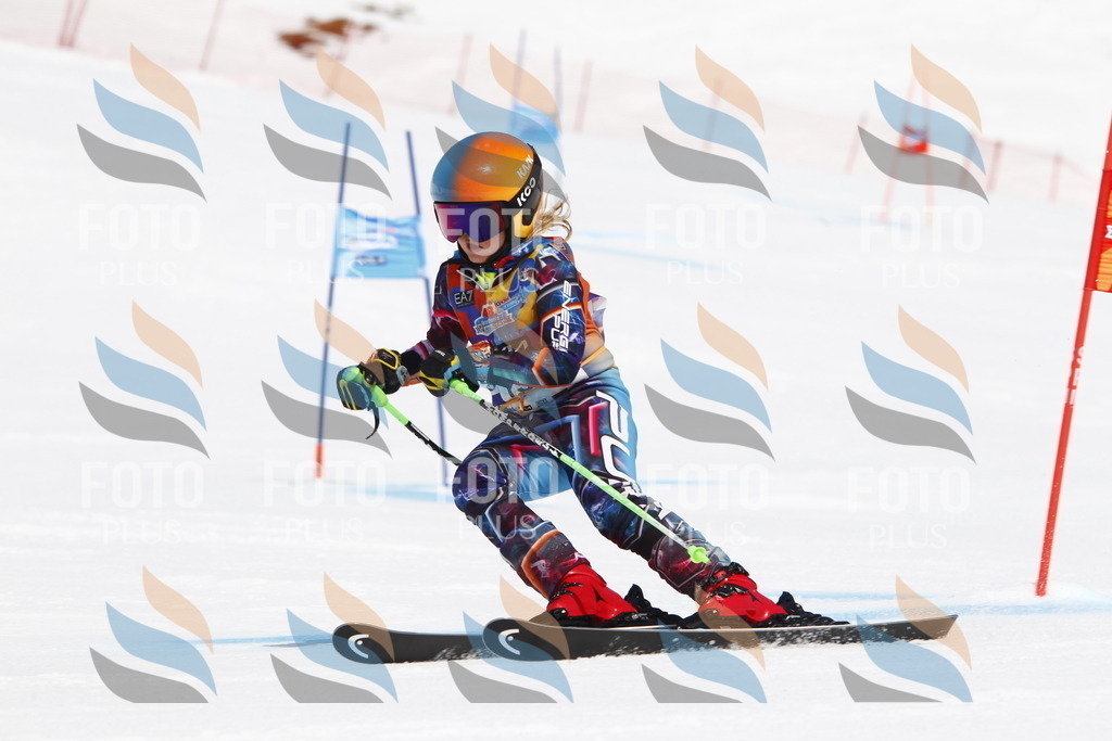 _U3G5096 | holidayphoto