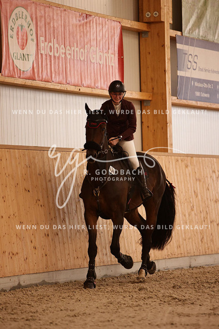 1J2A3023Leonie Ulrich_ Campino M 5_ Kn058_ Hohen Wieschendorf_ Glantz | Foto- und Videografie für alles rund ums Pferd. Hochwertige Bilder und Videos vom Spring- und Dressurreiten, Voltigieren & mehr. Jetzt aktuelle Veranstaltungen und Preise im Shop ansehen. - Realisiert mit Pictrs.com