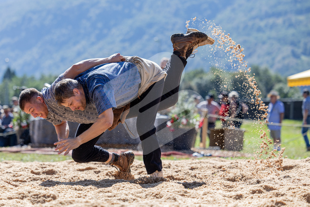 TESSINER2025_04_Gang_0556 | Die Schwinger des Schwyzer Kantonalen Schwingerverbandes: Fotos, die Dynamik und Leidenschaft festhalten, sowie emotionale Momente aus dem traditionellen Schwingsport zeigen. - Realisiert mit Pictrs.com