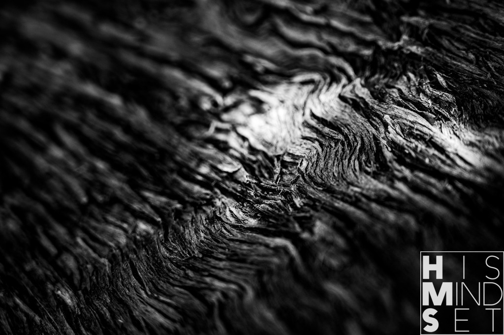 Natural Lines | Sichere dir dein Lieblingsbild von HISMINDSET als Print für dein Zuhause oder das Büro! - Realisiert mit Pictrs.com