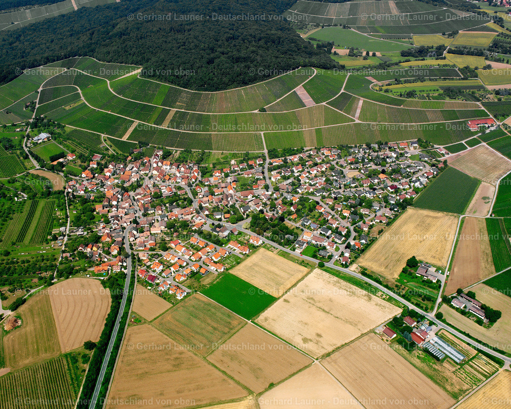 2500989 | Weinberge bei Gellmersbach