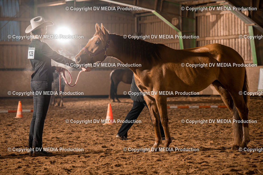 BAL01217 | dv-media-shop - Realisiert mit Pictrs.com