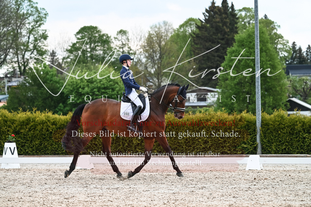 20230513_JK-Röhrsdorf-11-260 | Pferde- und Turnierfotografie in Westsachsen. Pferdeportraits, Auftragszeichnungen und intuitive Kunst.