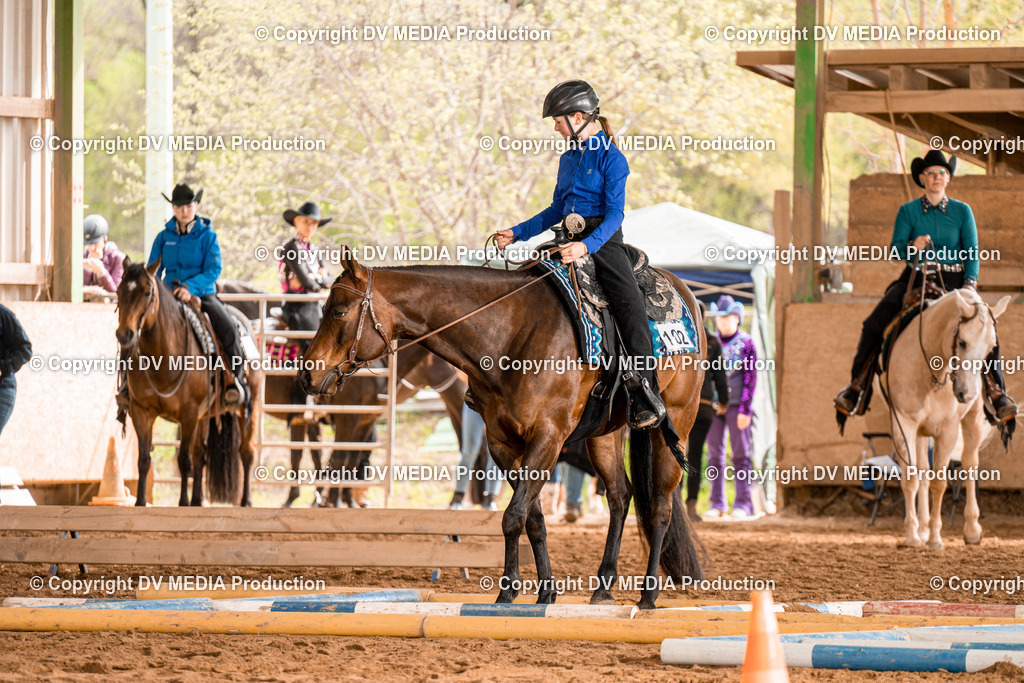 BA300495 | dv-media-shop - Realisiert mit Pictrs.com