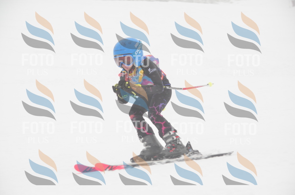 C0816 | holidayphoto