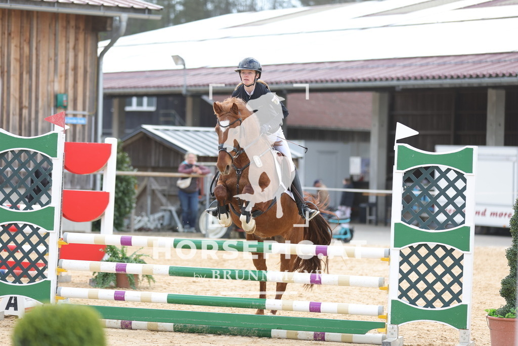 0P6A8099 | Willkommen bei Brunnmayr - Design & Fotografie – Ihrem Spezialisten für Reitturniere und Pferdeveranstaltungen in Oberösterreich, Salzburg und Bayern! Seit über 17 Jahren sind wir leidenschaftlich dabei.