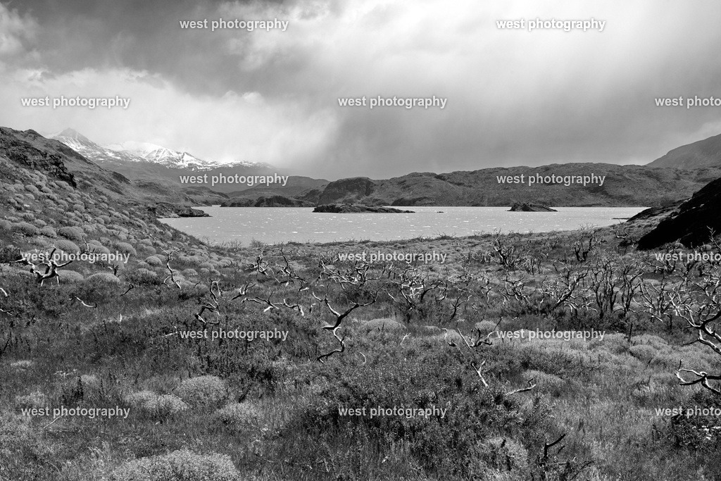 Torres del Paine NP 1 sw - CHI 2014 | west photography - Realisiert mit Pictrs.com