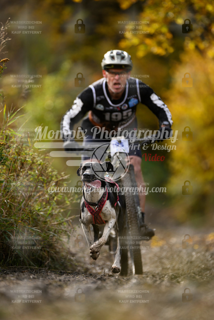 MompixPhotography_ICF_WC_2024_SA_Bike_-307 | PayLife