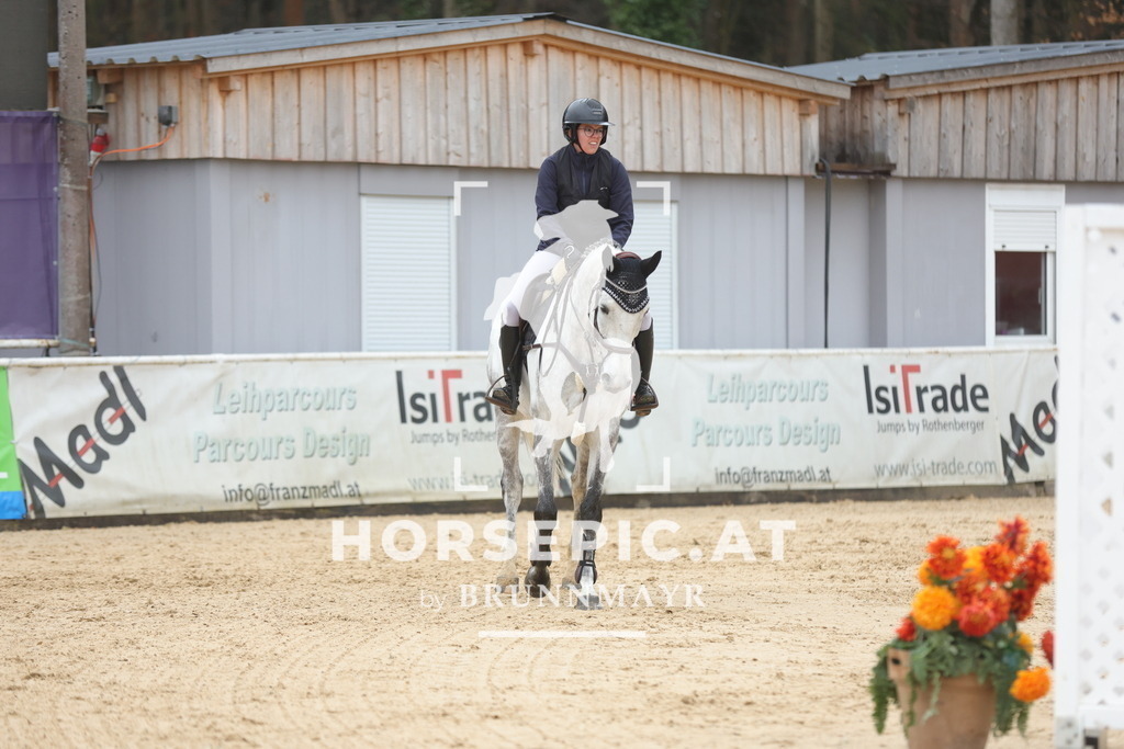 0P6A1115 | Willkommen bei Brunnmayr - Design & Fotografie – Ihrem Spezialisten für Reitturniere und Pferdeveranstaltungen in Oberösterreich, Salzburg und Bayern! Seit über 17 Jahren sind wir leidenschaftlich dabei.