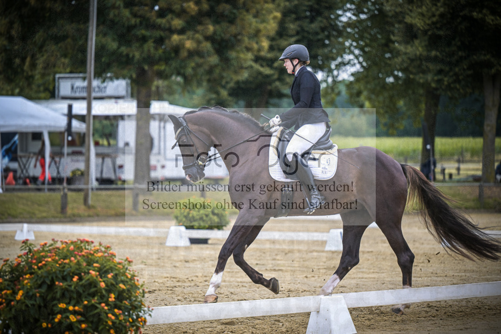 DOS_2316 | Entdecke hochwertige Reitturnierfotos von Foto Oger. Professionell, emotional und authentisch – jetzt Lieblingsmomente im Shop bestellen.Deutschlandweite Turnierfotografie. - Realisiert mit Pictrs.com