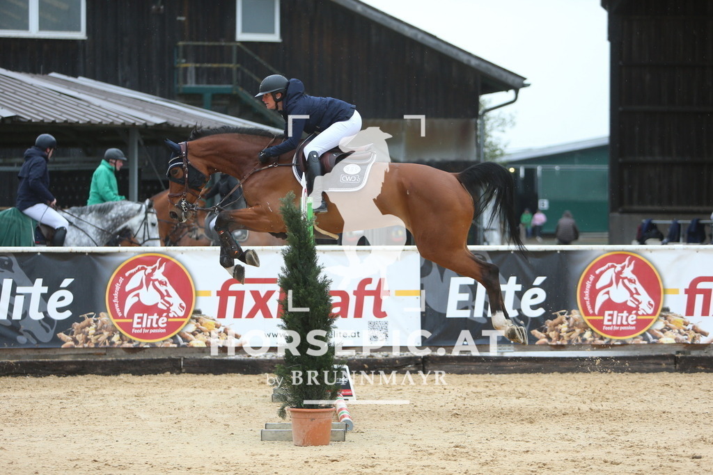 DL2Q6992 | Willkommen bei Brunnmayr - Design & Fotografie – Ihrem Spezialisten für Reitturniere und Pferdeveranstaltungen in Oberösterreich, Salzburg und Bayern! Seit über 17 Jahren sind wir leidenschaftlich dabei.