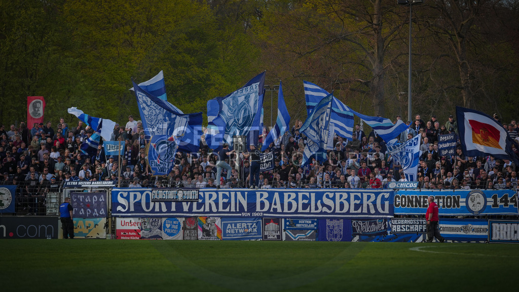 Fußball, Herren, Saison 2025/2026, Regionalliga Nordost, 30. Spieltag, FSV 63 Luckenwalde vs. SV Babelsberg 03, Freitag 17.04.2026, Karl-Liebknecht-Stadion Potsdam | Fußball, Herren, Saison 2025/2026, Regionalliga Nordost, 30. Spieltag, FSV 63 Luckenwalde vs. SV Babelsberg 03, Freitag 17.04.2026, Karl-Liebknecht-Stadion Potsdam, Im Bild: Die Fans des SV Babelsberg 03 - Realisiert mit Pictrs.com