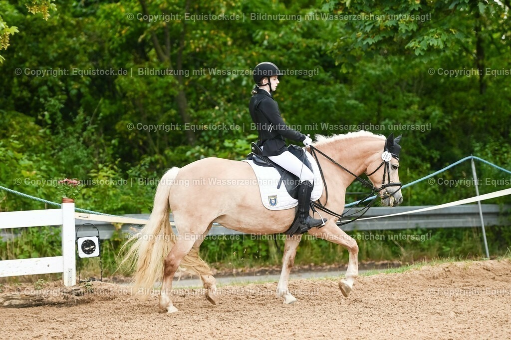 20230716_10-1_Reiter-WB Schritt - Trab - Galopp_0230 | equistock