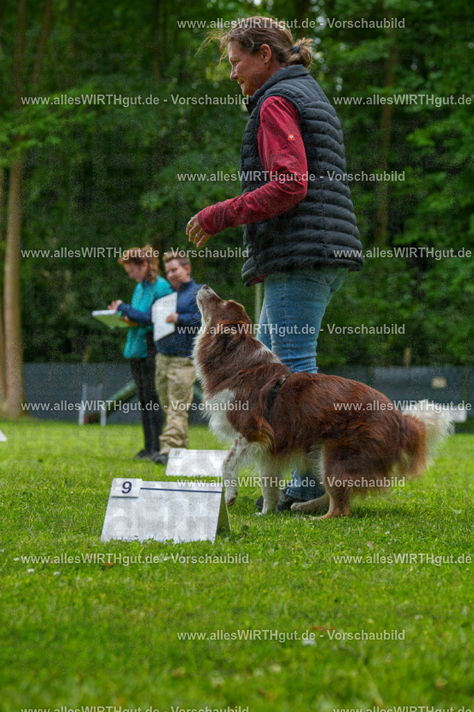 @allesWIRTHgut_Tierfotografie - www.allesWIRTHgut.de - 7R501459 | Professionelle Tierfotografie in Mönchengladbach von Daniel Wirth (allesWIRTHgut). Liebevolle & natürliche Bilder von Hunden & Katzen für unvergessliche Erinnerungen.