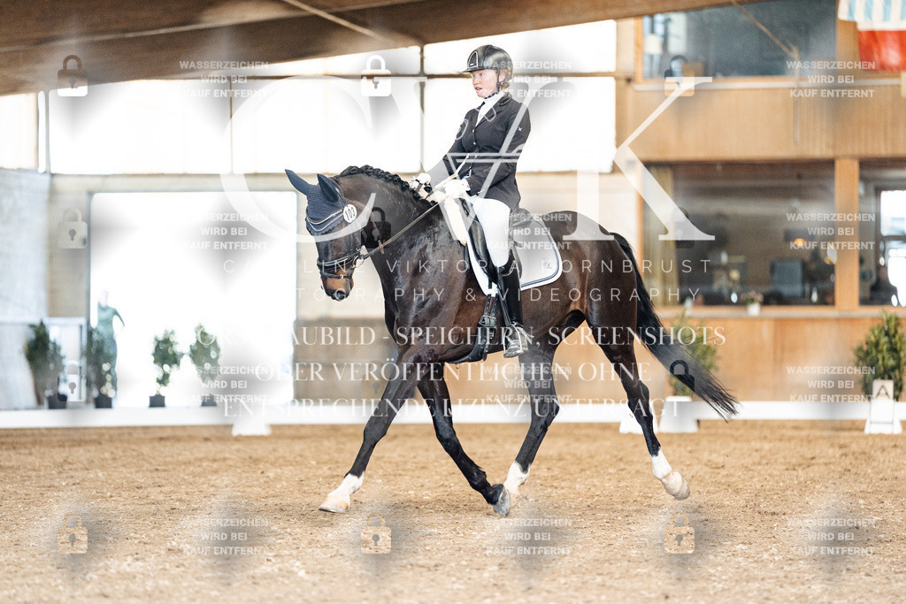 CK901129 | Turnierfotografie Pferdefotografie Trier Rheinland-Pfalz Pferdesport Reitsport Tierfotografie Sportfotografie Pferdevideo Pferdevideografie Equestrianvideography equestrianphotography  - Realisiert mit Pictrs.com