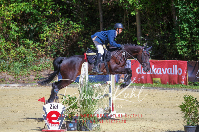 DKP43134 | Deine Turnierfotos vom Reitturnier online kaufen: Dressur, Springen & Siegerehrung. Professionelle Pferdefotografie aus dem Rheinland – als Download & Print.Alternative: Turnierfotograf für den Pferdesport: Finde deine Fotos von Dressur- und Springturnier