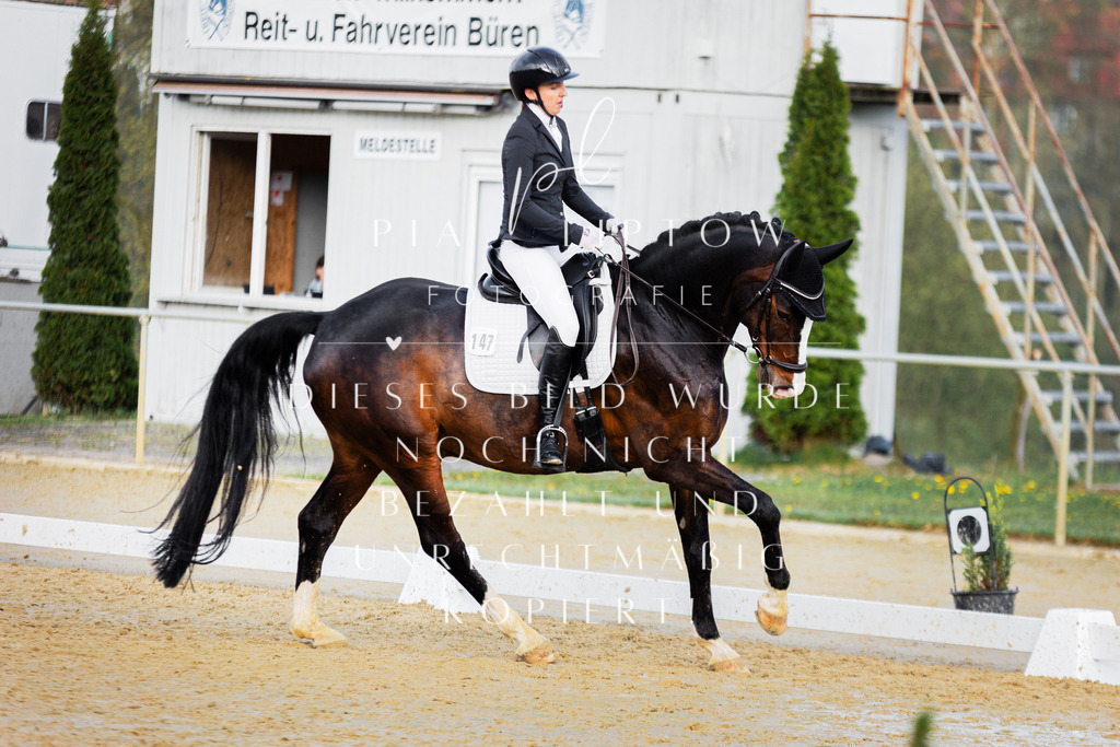 IMGT8625 | pl-fotografie