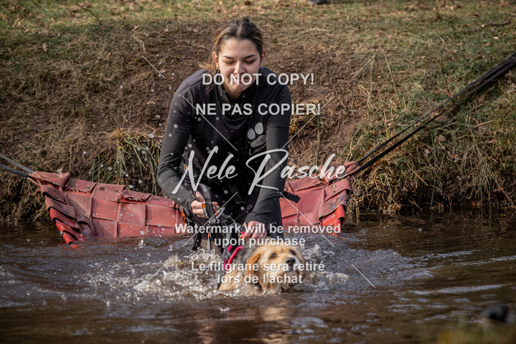 nelerasche_FS1430-1500_131 | nelerasche