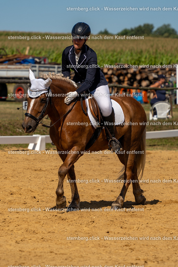 2026-08-09_09-26-27_WBO_Pulsnitz | sternberg.click - Realisiert mit Pictrs.com