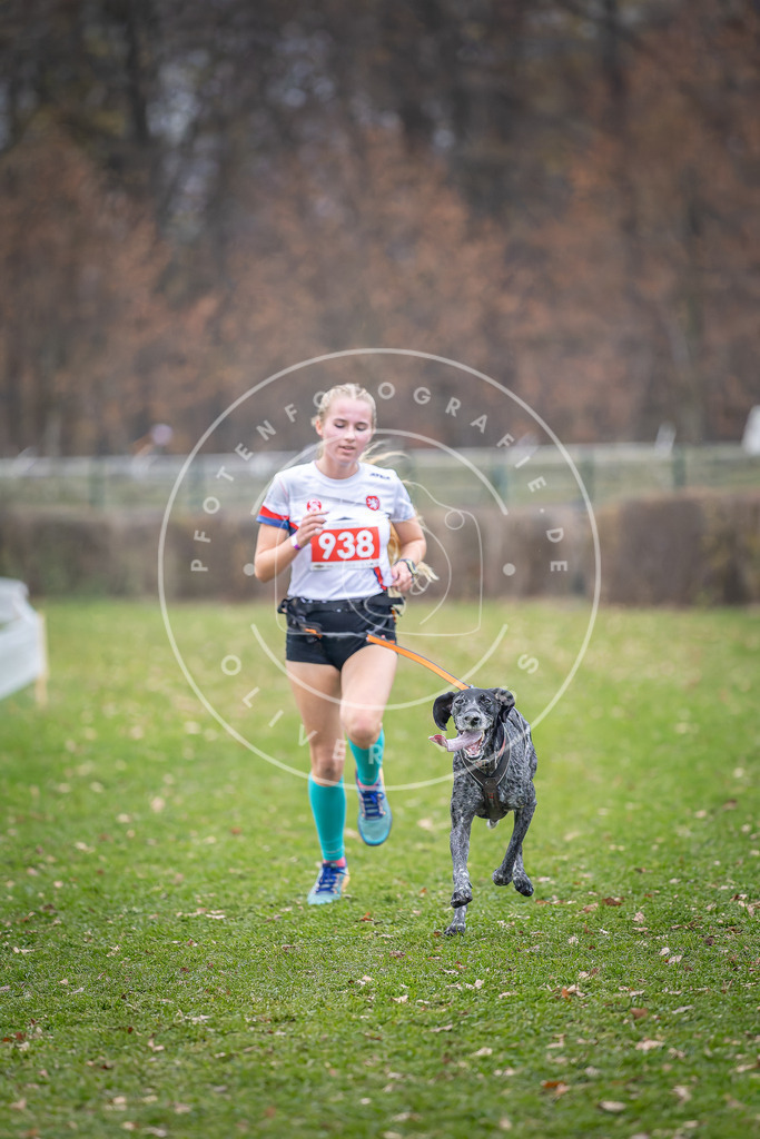 CaniXpix_DV3A7188 | Hundefotografie, Tierfotograf, Pfotenfotografie, Fotoshooting Hund, Hunde Portrait, Hundesport, Hundeportraits, Heideshooting, Hunde, Sportfotograf, Hundefotograf, Turnierhundsport, THS,  - Realisiert mit Pictrs.com