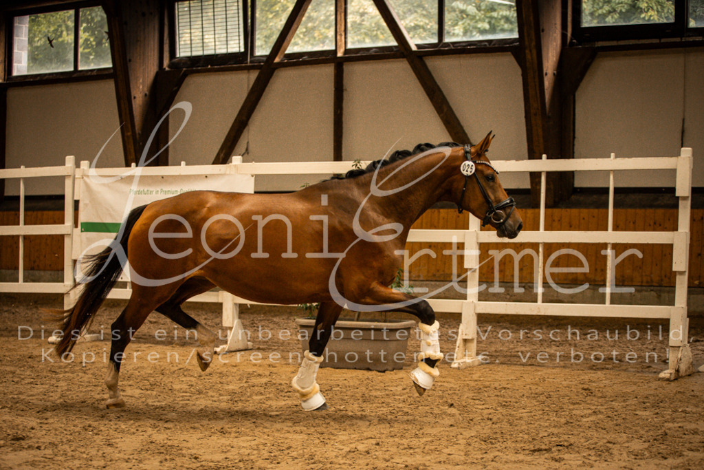 2FS_L00148 | Leoni Ertmer Photography - Realisiert mit Pictrs.com