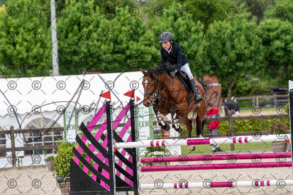 KPT_8260 | andre_photographic