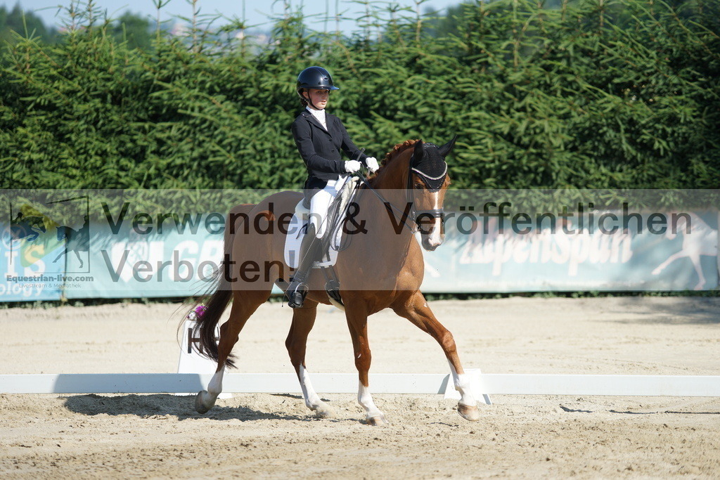 DSC02872 | equestrian-live-com