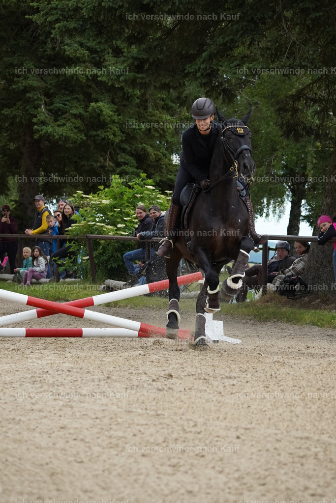 KlasseL_Lucie (6) | working equitationturnier fotograf videograf stoibphotography marixx film working equitation deutschland reitsport turnierfotografie eventfotografie equestrian events