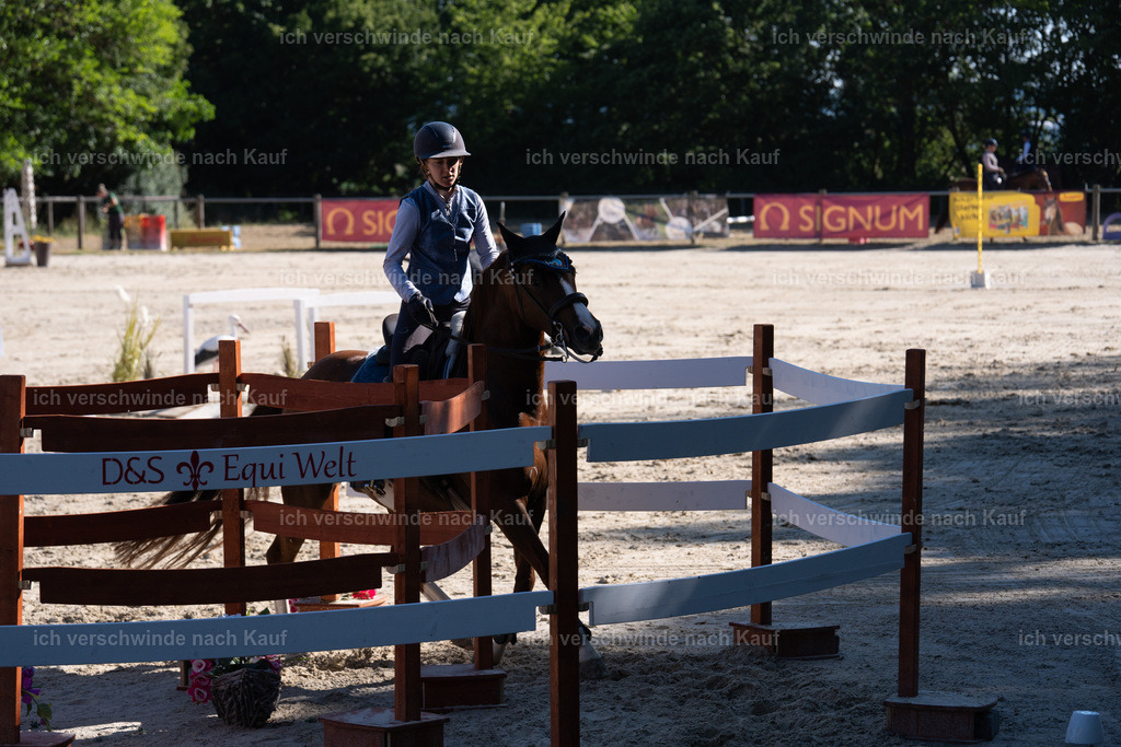 WL_SP_89_SinaFilmArt_IN05712 | working equitationturnier fotograf videograf stoibphotography marixx film working equitation deutschland reitsport turnierfotografie eventfotografie equestrian events