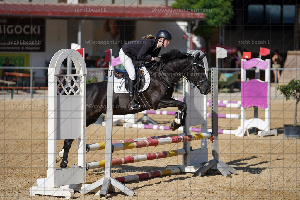 20240824-FAH07304 | Thierhaupten 2024, Bayerisches Landesponyturnier, Turnierbilder, Ponybilder, Turnierfotografen Bayern, Fotoagentur Herrmann