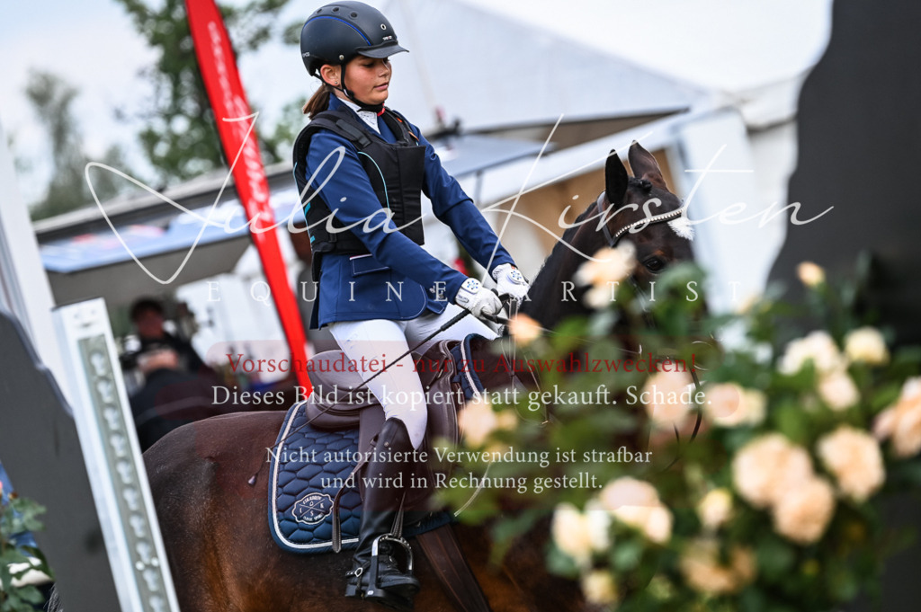 DSC_8241 | Pferde- und Turnierfotografie in Westsachsen. Pferdeportraits, Auftragszeichnungen und intuitive Kunst.