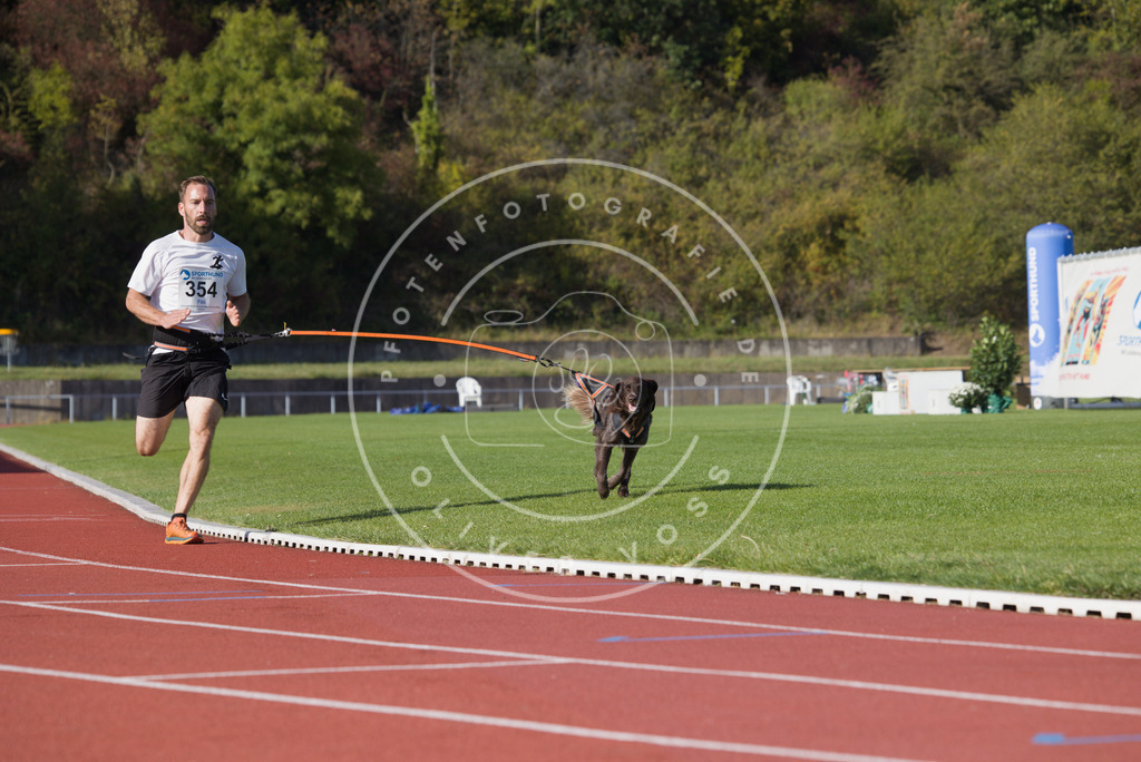 0L8A9866 | Hundefotografie, Tierfotograf, Pfotenfotografie, Fotoshooting Hund, Hunde Portrait, Hundesport, Hundeportraits, Heideshooting, Hunde, Sportfotograf, Hundefotograf, Turnierhundsport, THS,  - Realisiert mit Pictrs.com