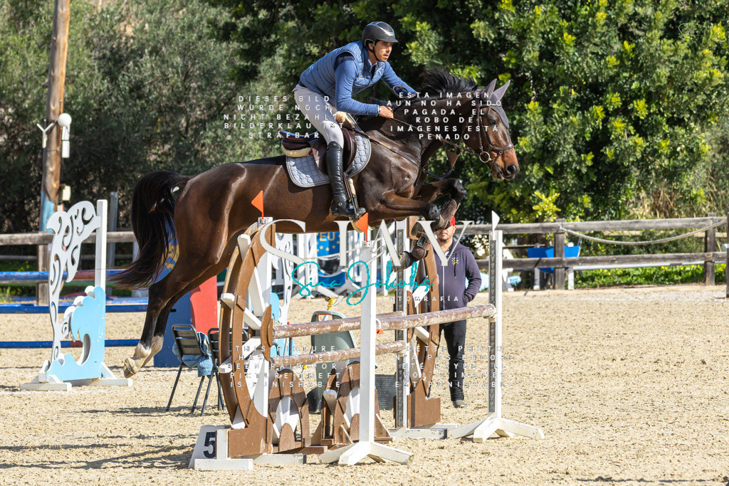 IMG_3987 | s-jay-photography - Realisiert mit Pictrs.com