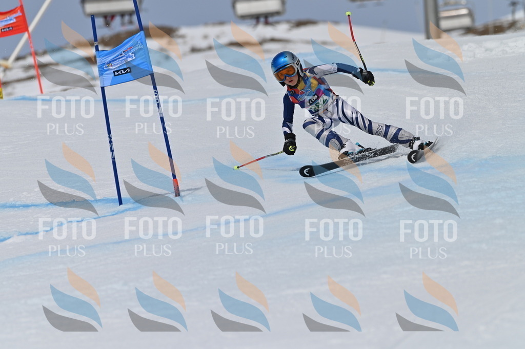 BGV_5608 | holidayphoto