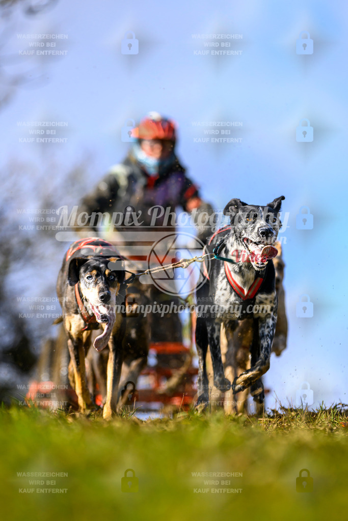 MompixPhotography_2OATB_SO_Kart-2 | PayLife