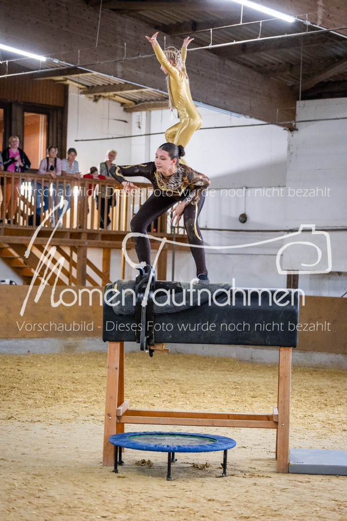 Holzpferd-066 | MomenTaufnahmen Pferdesportfotos