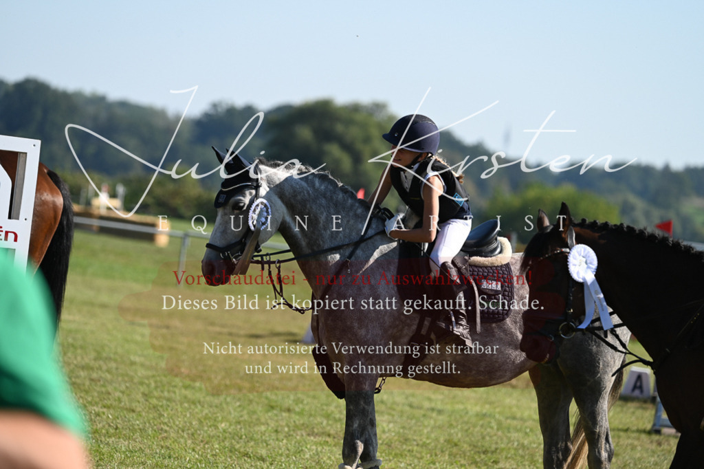 DSC_5367 | Pferde- und Turnierfotografie in Westsachsen. Pferdeportraits, Auftragszeichnungen und intuitive Kunst.