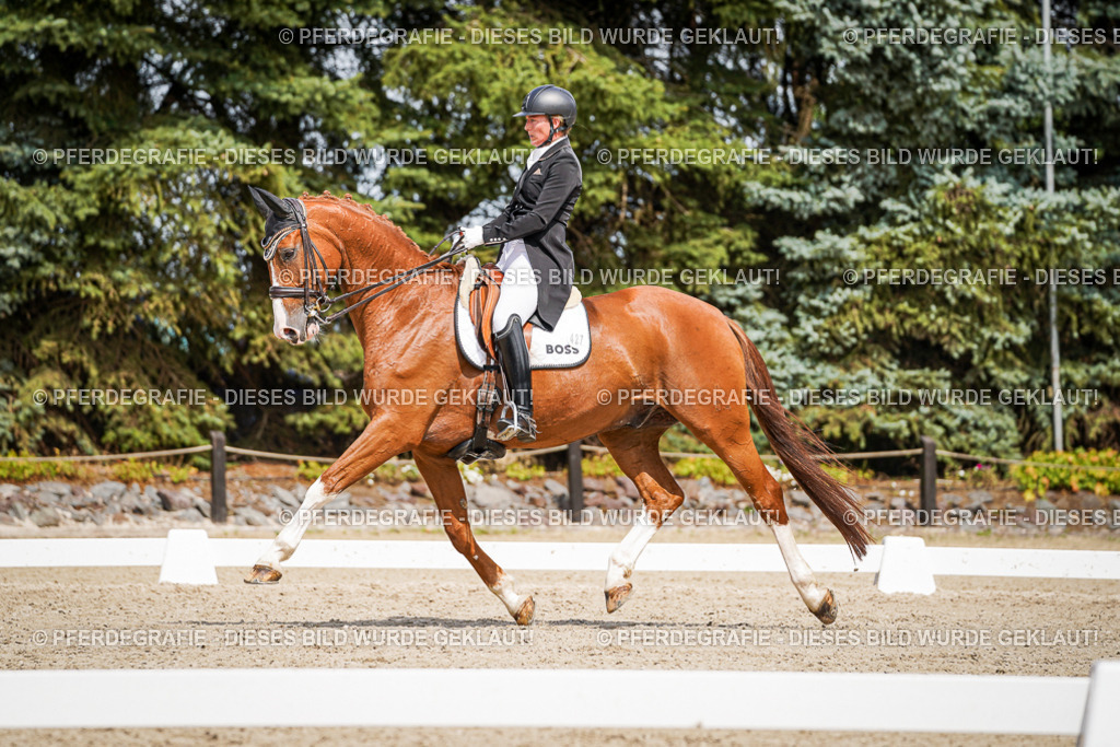 DSC06427 | Pferdegrafie