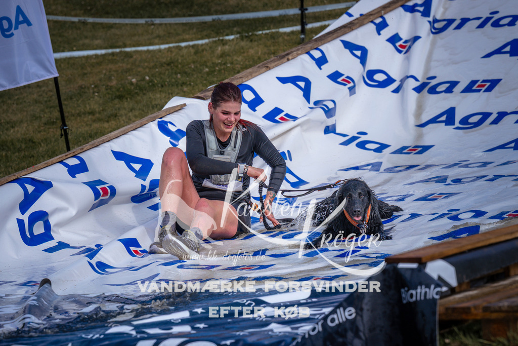 _ZZ985540804 | kk-dogfotos