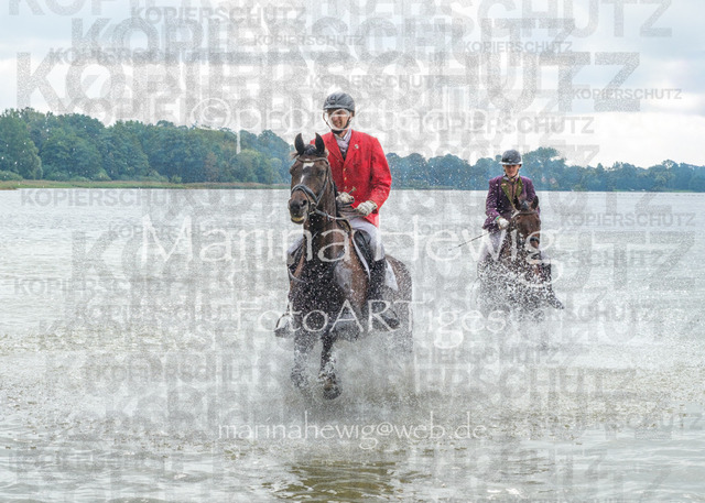 Jagd Perdoel_MarinaHewigDSCF3716 | Fotografie, FotoArt, PferdesportArt, Pferdesportfotografie, Landschaftsfotografie, Reisefotografie, Reise, Pferde - Realisiert mit Pictrs.com