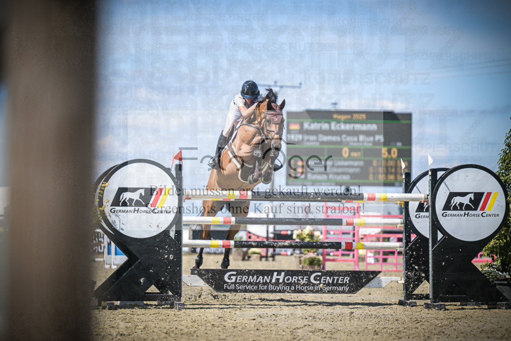 DOS_4496 | Entdecke hochwertige Reitturnierfotos von Foto Oger. Professionell, emotional und authentisch – jetzt Lieblingsmomente im Shop bestellen.Deutschlandweite Turnierfotografie. - Realisiert mit Pictrs.com