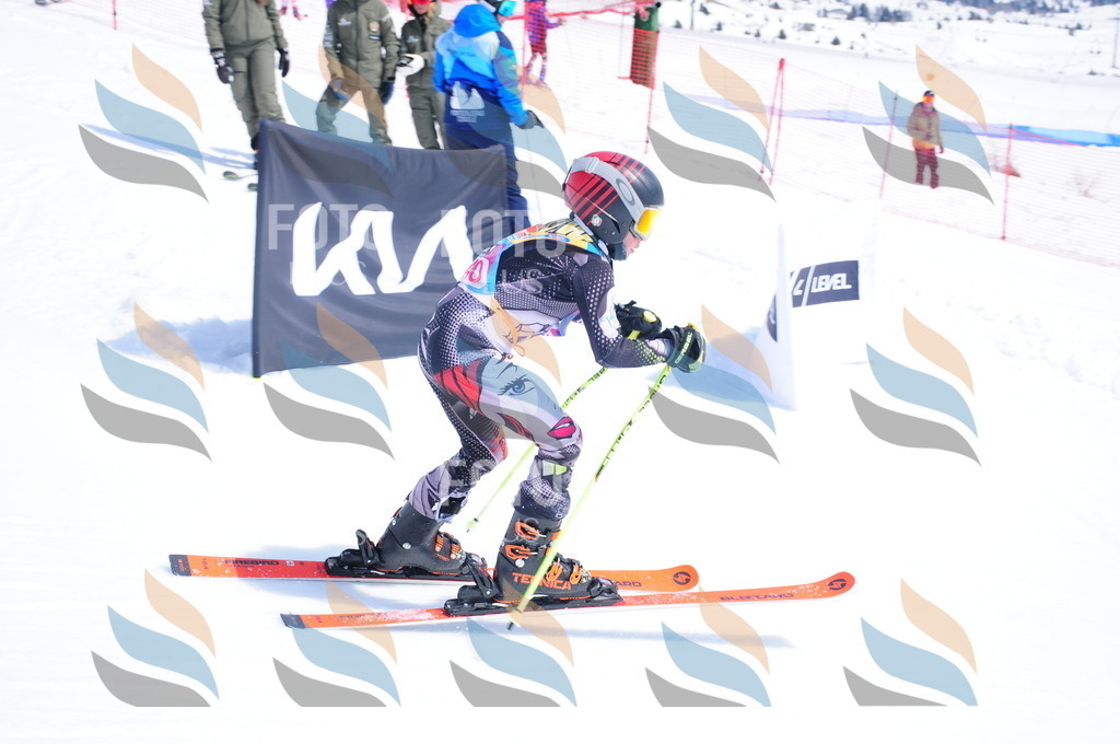 DSC_7033 | holidayphoto