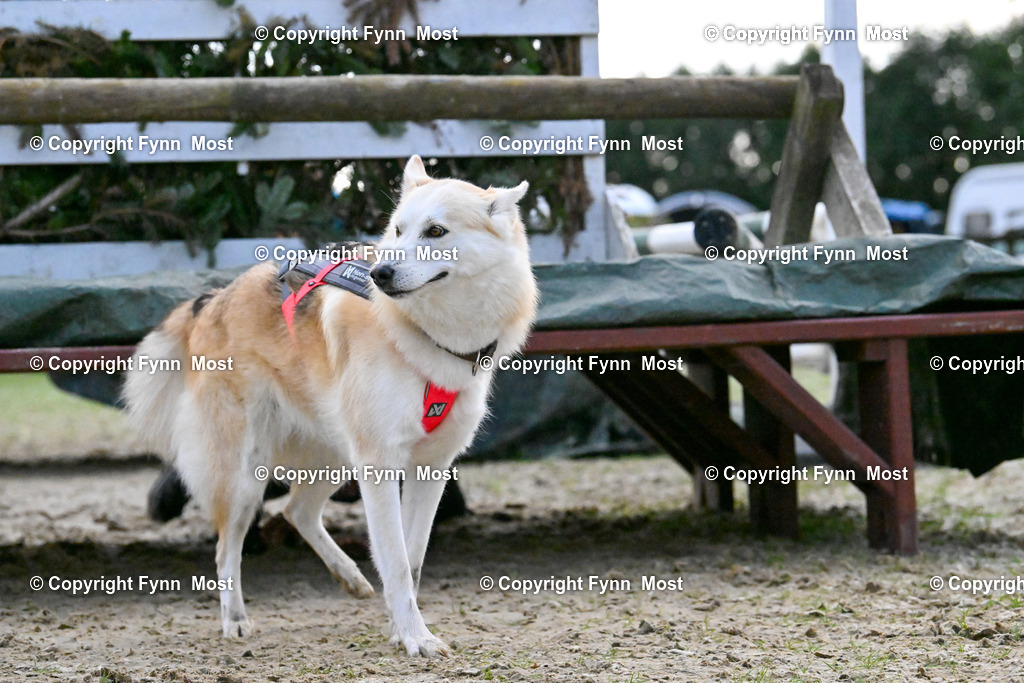 DSC_4940 | Hallo und herzlich Willkommen auf meiner Shop-Seite Fynn Most.

Ich wünsche Dir viel Spaß beim stöbern durch die Bilder, wenn Du Fragen hast oder Bilder vermisst, kannst du mir gerne eine Nachricht schreiben. - Realisiert mit Pictrs.com
