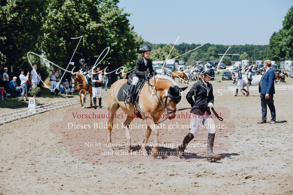 DSC_2453 | Pferde- und Turnierfotografie in Westsachsen. Pferdeportraits, Auftragszeichnungen und intuitive Kunst.