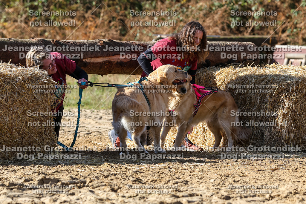 Dog Paparazzi - Strongdog 10-25-4749 | Dog Paparazzi Jeanette Grottendiek Fotografie & Videografie