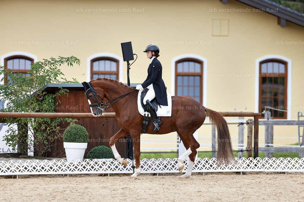 11-201-Dressur S___-StoibPH-943 | working equitationturnier fotograf videograf stoibphotography marixx film working equitation deutschland reitsport turnierfotografie eventfotografie equestrian events