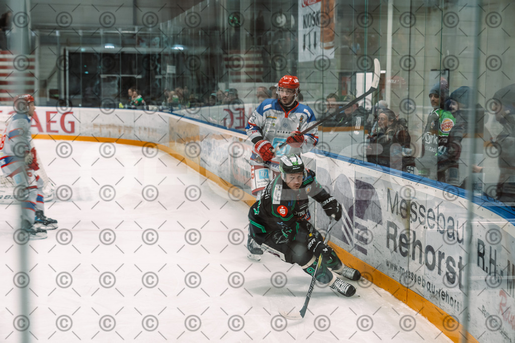 Alligators_vs_Peiting_25_11_2025-32 | Höchstadt Alligators Fotogalerie: Eishockey-Action aus Franken. Professionelle Spielfotos, Portraits & Stadionbilder zum Download. Jetzt entdecken! - Realisiert mit Pictrs.com