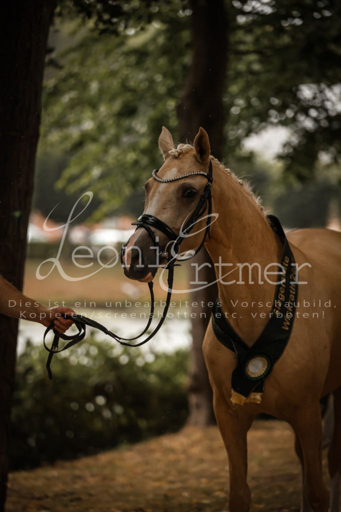 10.-12.Elite00168 | Leoni Ertmer Photography - Realisiert mit Pictrs.com