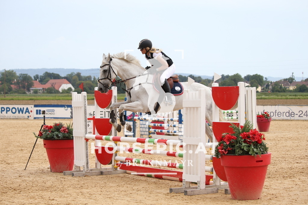 DL2Q3744 | Willkommen bei Brunnmayr - Design & Fotografie – Ihrem Spezialisten für Reitturniere und Pferdeveranstaltungen in Oberösterreich, Salzburg und Bayern! Seit über 17 Jahren sind wir leidenschaftlich dabei.