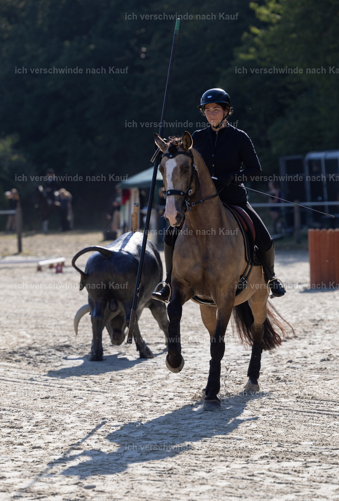 WA_Trail_96_KerstinBernhardt-25 | working equitationturnier fotograf videograf stoibphotography marixx film working equitation deutschland reitsport turnierfotografie eventfotografie equestrian events